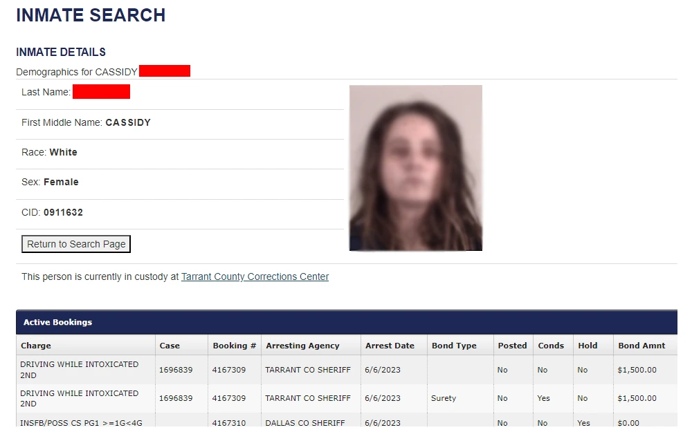 A screenshot of the sample Inmate Search result showing the inmate's full name, race, sex, CID, charges, mugshot, and other information.
